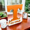 Tennessee Volunteers Office Desk Table Accessories for Home Decor