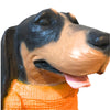Tennessee Volunteers Mascot, Smokey, in Big Orange Knit Blanket - for Garden, Yard, Home Decor and Porch.