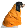 Tennessee Volunteers Mascot, Smokey, in Big Orange Knit Blanket - for Garden, Yard, Home Decor and Porch.