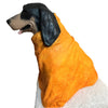 Tennessee Volunteers Mascot, Smokey, in Big Orange Knit Blanket - for Garden, Yard, Home Decor and Porch.