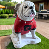 UGA Georgia Bulldog Mascot Stone Statue for Garden, Yard, Home Decor and Porch.