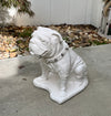 Georgia Bulldogs UGA Mascot White Stone Statue - Natural