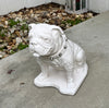 Georgia Bulldogs UGA Mascot White Stone Statue - Natural