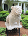 Georgia Bulldogs UGA Mascot White Stone Statue - Natural