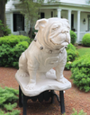 Georgia Bulldogs UGA Mascot Stone Statue - Natural