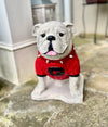 UGA Georgia Bulldog Mascot Stone Statue for Garden, Yard, Home Decor and Porch.