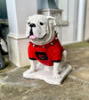 UGA Georgia Bulldog Mascot Stone Statue for Garden, Yard, Home Decor and Porch.