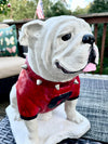 UGA Georgia Bulldog Mascot Stone Statue for Garden, Yard, Home Decor and Porch.