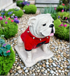 UGA Georgia Bulldog Mascot Stone Statue for Garden, Yard, Home Decor and Porch.