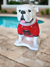 UGA Georgia Bulldog Mascot Stone Statue for Garden, Yard, Home Decor and Porch.