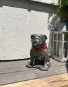 Pewter Georgia Bulldogs Mascot Boom Statue