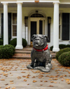 Pewter Georgia Bulldogs Mascot Boom Statue