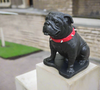 Cast Iron Georgia Bulldogs Mascot Boom Statue