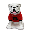 UGA Georgia Bulldog Mascot Stone Statue for Garden, Yard, Home Decor and Porch.