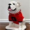 UGA Georgia Bulldog Mascot Stone Statue for Garden, Yard, Home Decor and Porch.