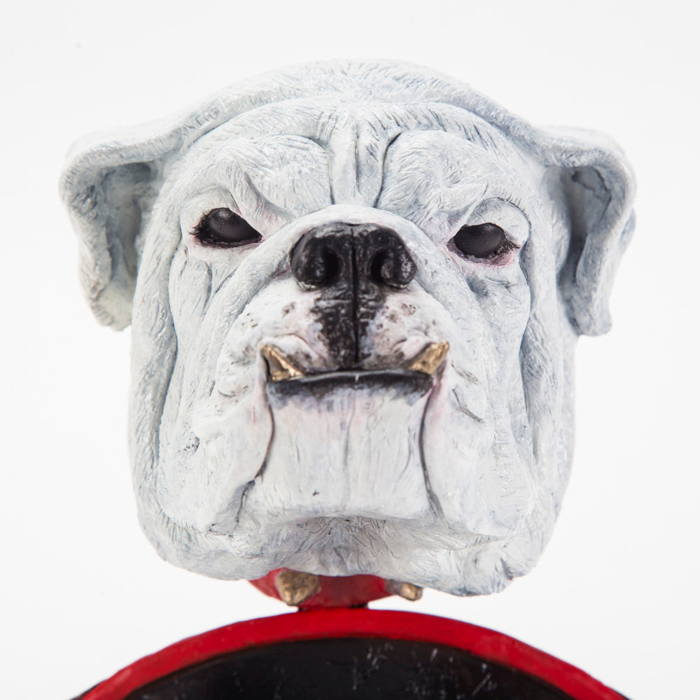 Georgia Bulldogs UGA Go Dawgs University of Georgia #Go Dawgs #Georgia Bulldogs Football #UGA