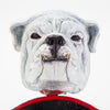 Georgia Bulldogs UGA Go Dawgs University of Georgia #Go Dawgs #Georgia Bulldogs Football #UGA