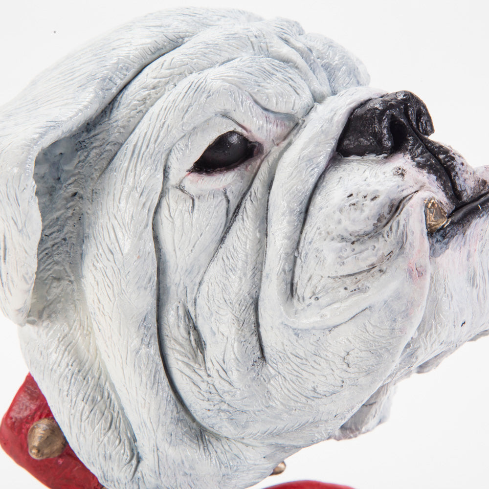 Georgia Bulldogs UGA Go Dawgs University of Georgia #Go Dawgs #Georgia Bulldogs Football #UGA