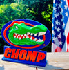 Florida Gators Double Sided Office Desk Table Accessories for Home Decor